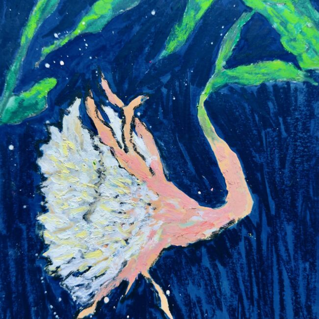 Brahma Kamal (October)