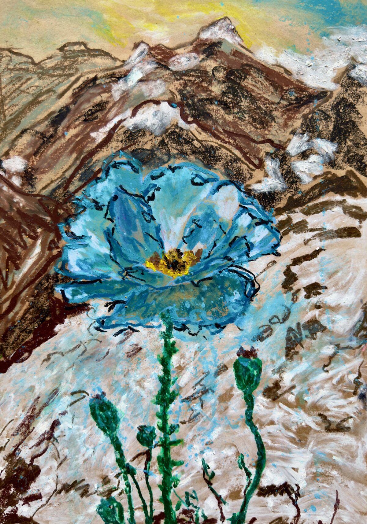 Neela Posta | Himalayan Blue Poppy (September)