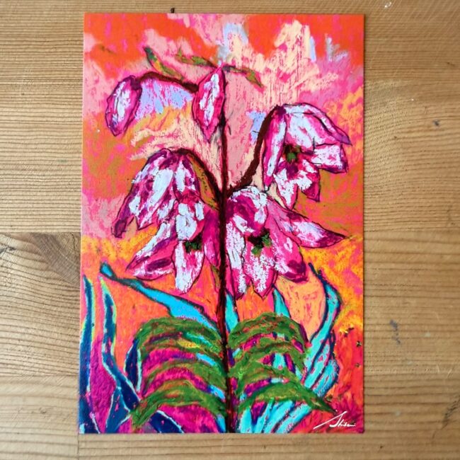 Postcards || Shirui Lily
